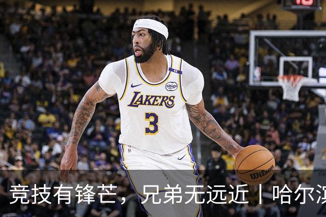 竞技有锋芒，兄弟无远近丨哈尔滨-长春双向奔赴，共续华章
